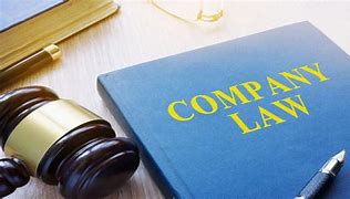 SESI 1 2024/2025 DPA30083 COMPANY LAW 